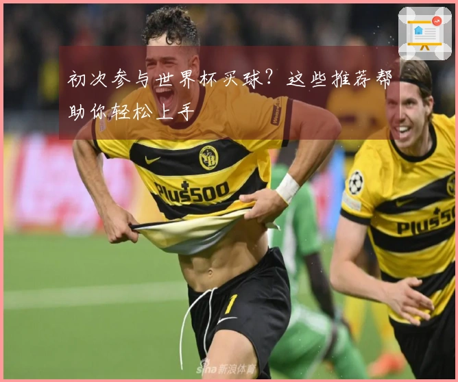初次参与世界杯买球？这些推荐帮助你轻松上手