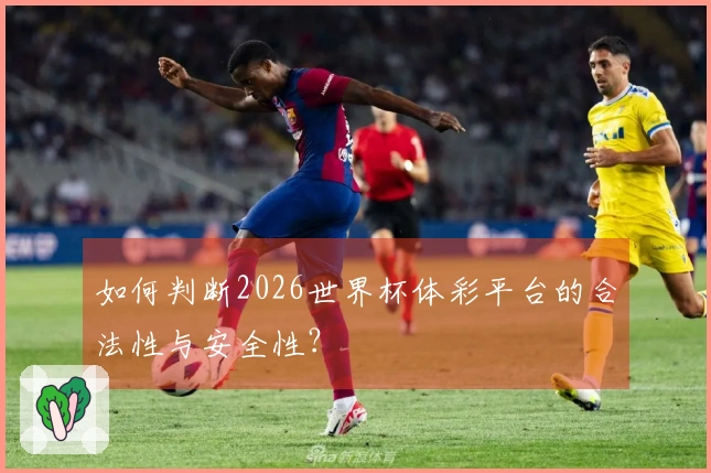 如何判断2026世界杯体彩平台的合法性与安全性？