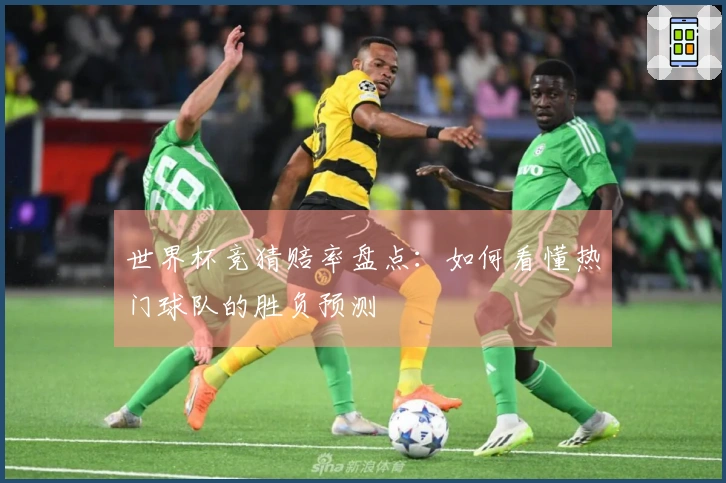 世界杯竞猜赔率盘点：如何看懂热门球队的胜负预测