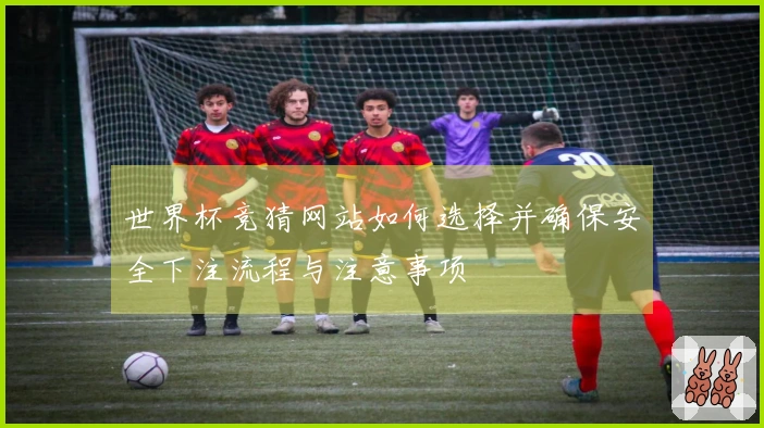 世界杯竞猜网站如何选择并确保安全下注流程与注意事项